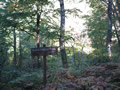 Troop 380 - Black Forest Trail, Pennsylvania - October 2009