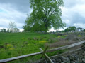 Troop 380 Camp Out in Gettysburg, Pennsylvania - May 2013